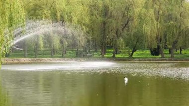 Şehir parkındaki çeşme