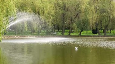 Şehir parkındaki çeşme