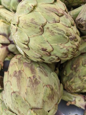 Enginar bir piyasa ahır üzerinde