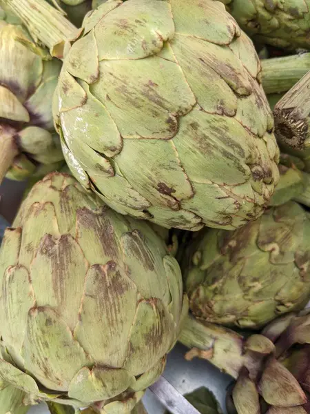 Enginar bir piyasa ahır üzerinde