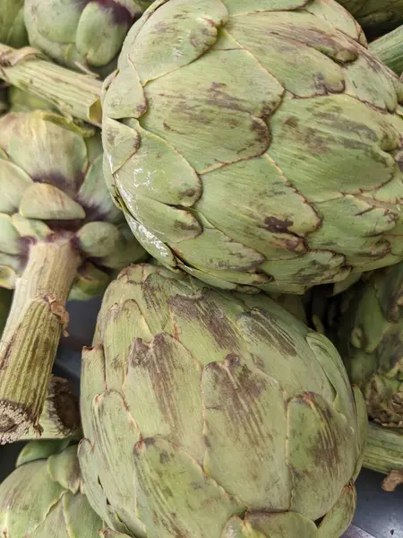 Enginar bir piyasa ahır üzerinde