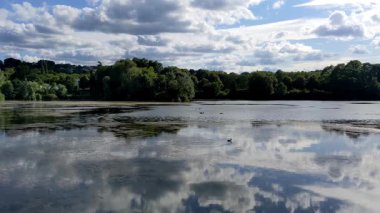 Göl ve orman içinde yaz