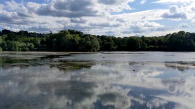 Göl ve orman içinde yaz