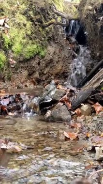 Dağlarda şelale, bahar zamanı