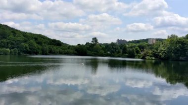 Göl ve orman içinde yaz