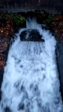 Ormanda küçük bir dere, sonbahar zamanı.