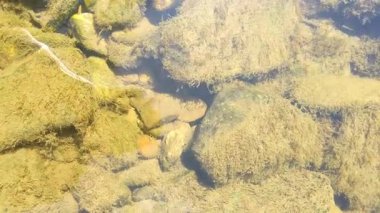 su yüzeyinde küçük taşlar var.