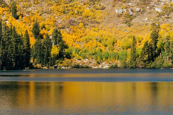 stock image Autumn landscape, vibrant colors. Trees reflecting in the water. Mammoth Lakes, California.