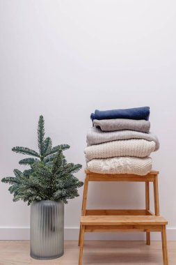 Firavun dalları ve örülmüş süveterler. Kış mevsimsel kompozisyonu, minimalist iç mekan