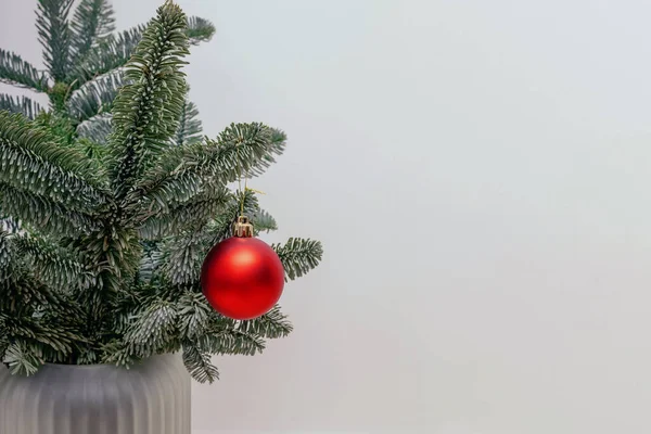 Minimalistisch Kerstdecor Fir Takken Een Vaas Versierd Met Rode Bauble — Stockfoto