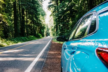Kuzey Kaliforniya 'daki Redwood Ulusal Ormanı' nda yol kenarında duran mavi araba.