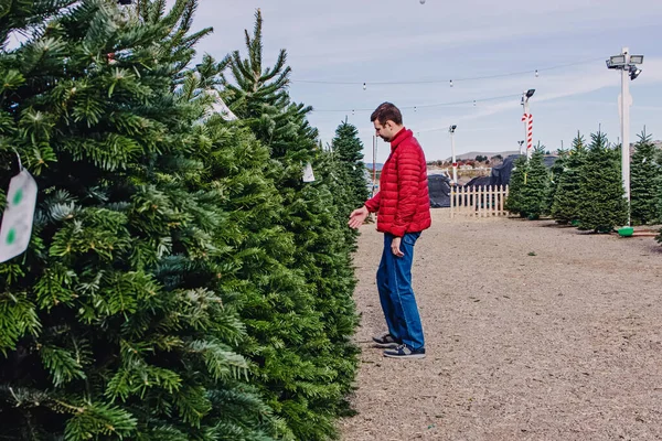 穿着红色夹克的男人在节假日市场上挑选圣诞树 看价格 — 图库照片