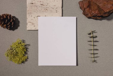 Paper card mock-up, minimalist modern still life composition with a piece of tree bark, and moss. Eco materials