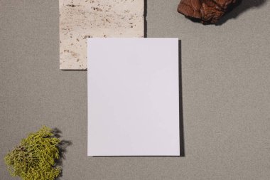 Paper card mock-up, minimalist modern still life composition with a piece of tree bark, and moss. Eco materials