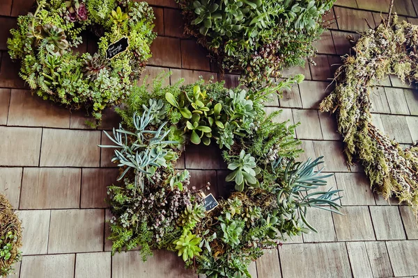 Wreath made from succulent plants hang on the wall, florist store