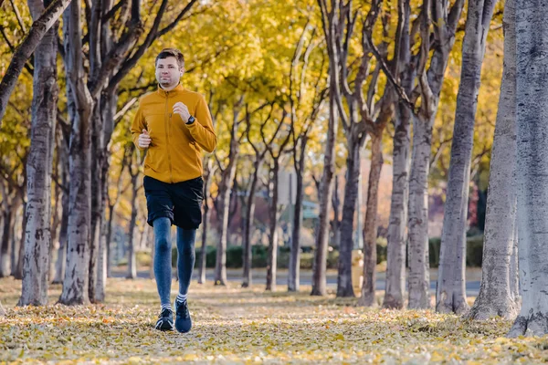 Man Loopt Straat Met Veel Gele Bladeren Grond Joggen Fitness — Stockfoto