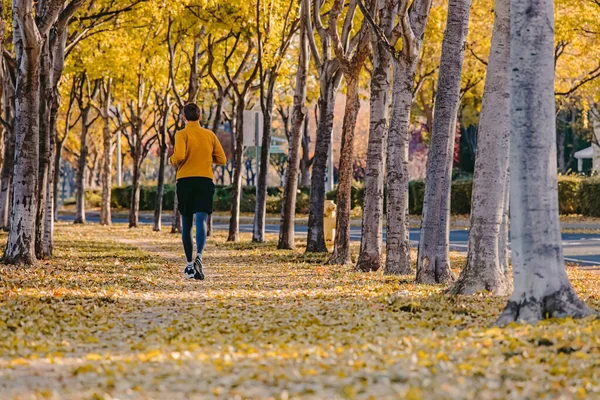 Человек Бегает Падении Бег Улице Множеством Желтых Листьев Земле Вид — стоковое фото