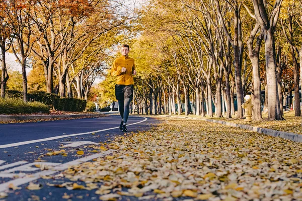 Мужчина Бегает Бегает Улице Осенними Деревьями Желтыми Листьями Обе Стороны — стоковое фото