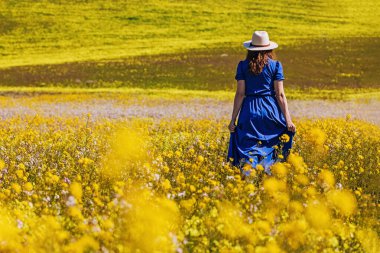 Uzun mavi elbiseli ve beyaz şapkalı bir kadın sarı çiçekli tarlada yürüyor, arkadan manzaralı.