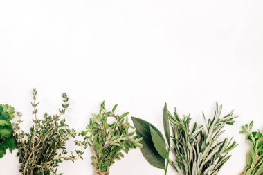 Fotokopi alanı beyaz arkaplanda taze yeşil bitkiler, üst görünüm