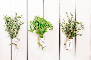 Beyaz ahşap masada yeşil taze bitkiler, üst manzara.