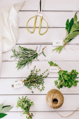 Beyaz masadaki tomurcuklarda çeşitli aromatik yeşil otlar, baharatlı taze yiyecekler.