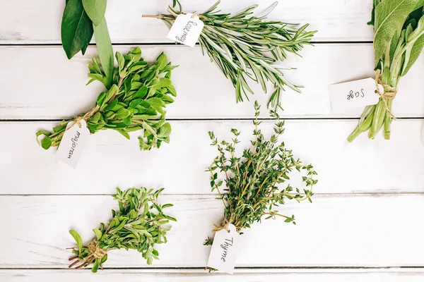 stock image Various aromatic green herbs in bunches on the white table, top view