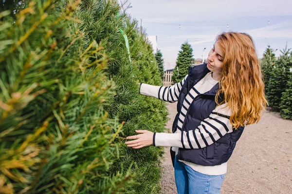 Mujer Joven Eligiendo Árbol Navidad Para Comprar Mercado Aire Libre —  Fotos de Stock