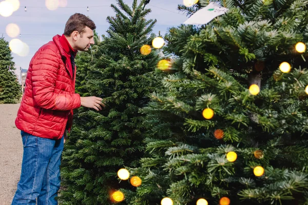 Muž Vybírá Vánoční Stromek Koupit Venkovním Trhu — Stock fotografie