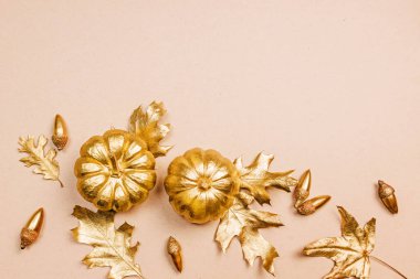 Altın renklerde sonbahar dekoru. Altın boyalı yapraklar, balkabakları ve meşe palamutları, sonbahar düzlüğü