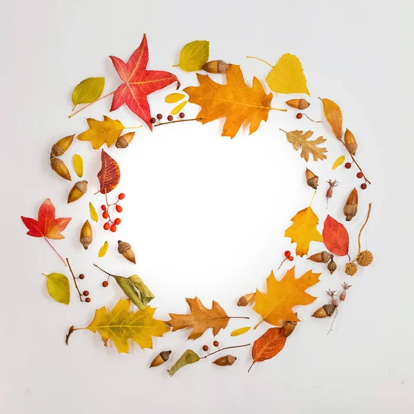 Creative Fall Composition Circle Made Yellow Red Fallen Leaves Other — Stock Photo, Image