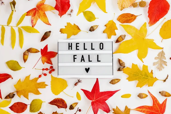 Hello Fall Box Text Colorful Autumn Leaves Seasonal Flat Lay — Stock Photo, Image