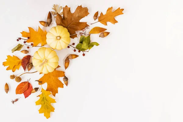 Creative Fall Composition White Pumpkins Fallen Leaves Other Floral Elements — Stock Photo, Image