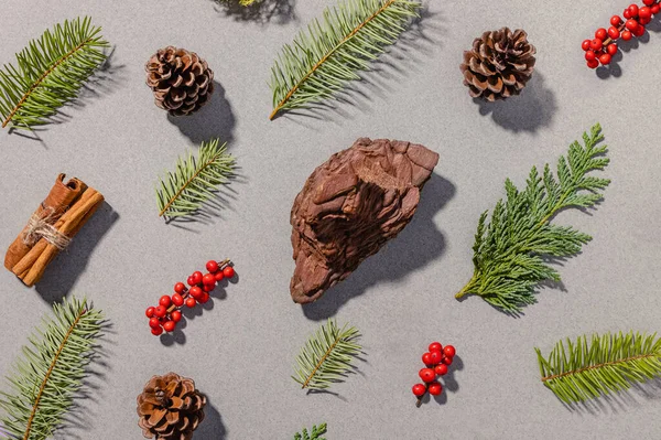 天然圣诞装饰 浆果和松果 顶视图 — 图库照片