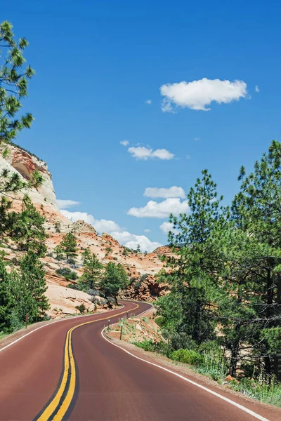 Naturskön Väg Utan Bilar Zions Nationalpark Utah Solig Sommardag Med — Stockfoto