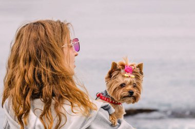 Şirin bir Yorkshire teriyeri tutan kadın arka planda okyanus ve köpekle yaz seyahati olan bir yere bakıyor.