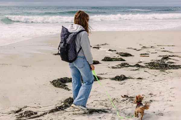 Frau Spaziert Mit Süßem Yorkshire Terrier Hund Strand Der Nähe — Stockfoto