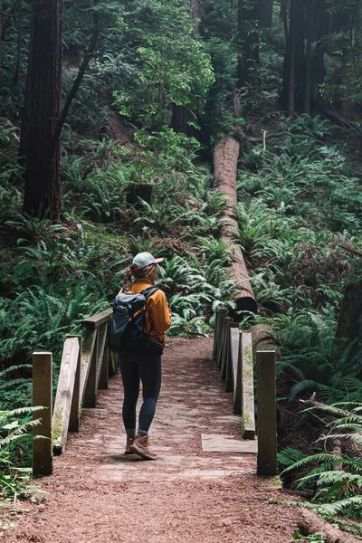 一个背着背包的女人站在公园的木桥旁边 带着红杉和蕨类植物 在户外远足 — 图库照片