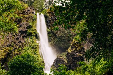 Yeşil ormanda güzel manzaralı bir şelale