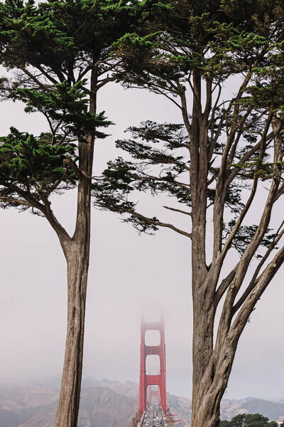 View on the Golden Gate bridge in San Francisco on foggy day