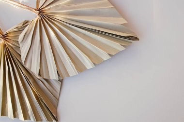 Beyaz masa üzerindeki palmiye yapraklarını kurutur, modern dekor, kopyalama alanı