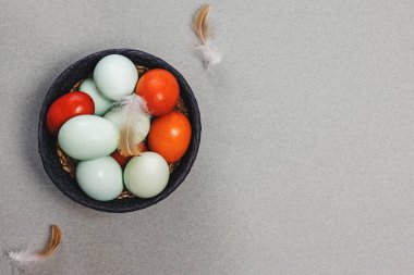 Sepette mavi ve kırmızı renkli yumurtalar ve kuş tüyleri üst görünüm, Paskalya kompozisyonu