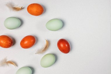 Kahverengi ve mavi çiftçi yumurtaları ve kuş tüyleri, üst manzara