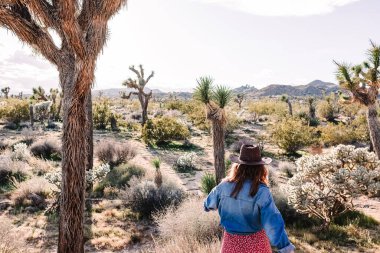 Şapka takan bir kadın Joshua Tree 'nin manzarasını, gezisini ve açık hava keşiflerini keşfediyor.