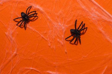 Örümcek ağında iki dekoratif örümcek, Cadılar Bayramı arka planı