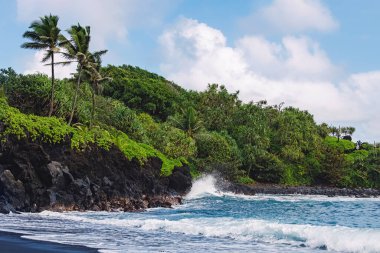 Hawaii 'de kayalık kayalıklarda yemyeşil ve palmiye ağaçları büyüyen siyah bir kumsal manzarası.