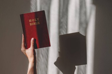 Biri kırmızı kaplı kutsal kitabı parlak, güneşli bir duvara karşı tutuyor.