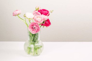 Pembe ranunculus çiçekleri berrak bir vazoda dizilmiş, güzel bahar çiçekleri.