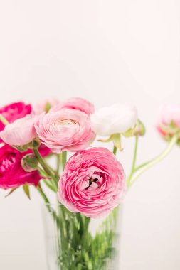 Temiz bir vazoda güzel ranunculus çiçekleri yakın plan, canlı renkler ve narin yapraklar sergiliyor.