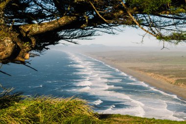 Sahile bakan bir yamaçtan sahile vuran dalgalar Point Reyes Ulusal Sahili 'nin kumlu sahiline çarpıyor.
